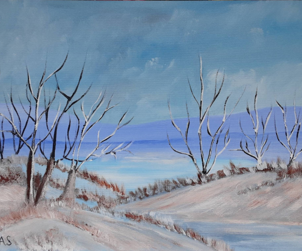 Fák a havas domb oldalán